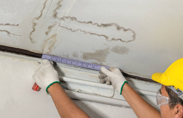 Reliable Mold Remediation contractor in Loyal, OK by Water Damage Irwin